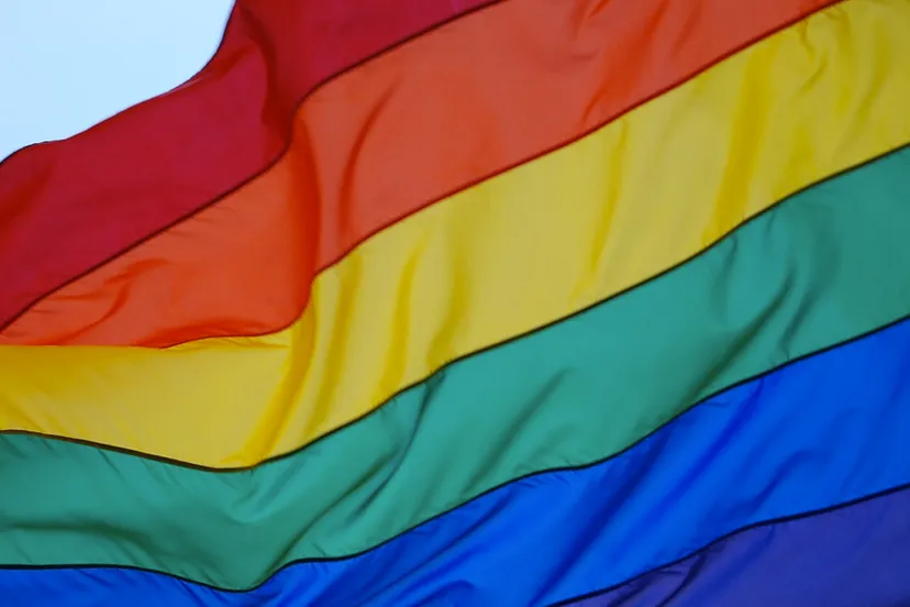 regenboogvlag coming out day lhbt kweetnie