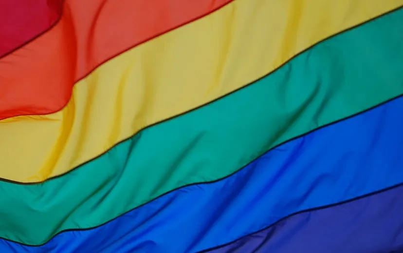 regenboogvlag uitsnede cc0 pixabay