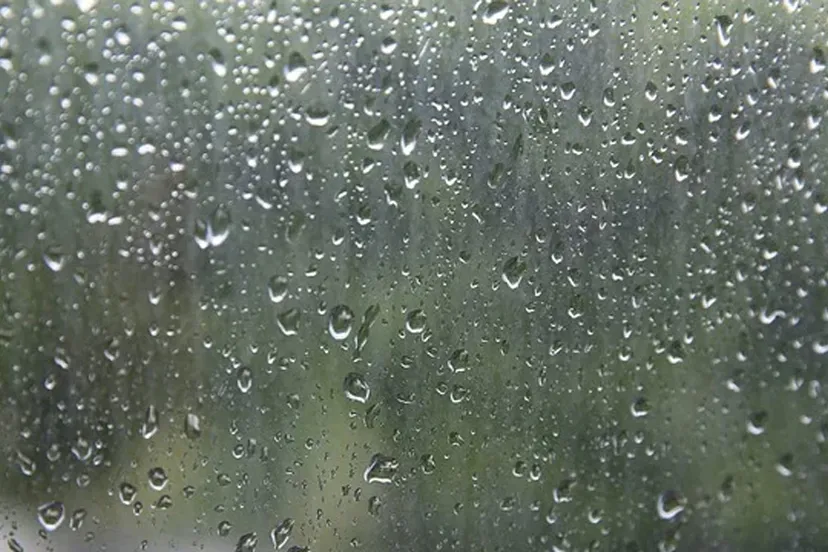 regendruppels op een raam cc0