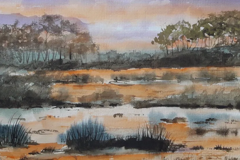 reigersbroek toos verhaegh