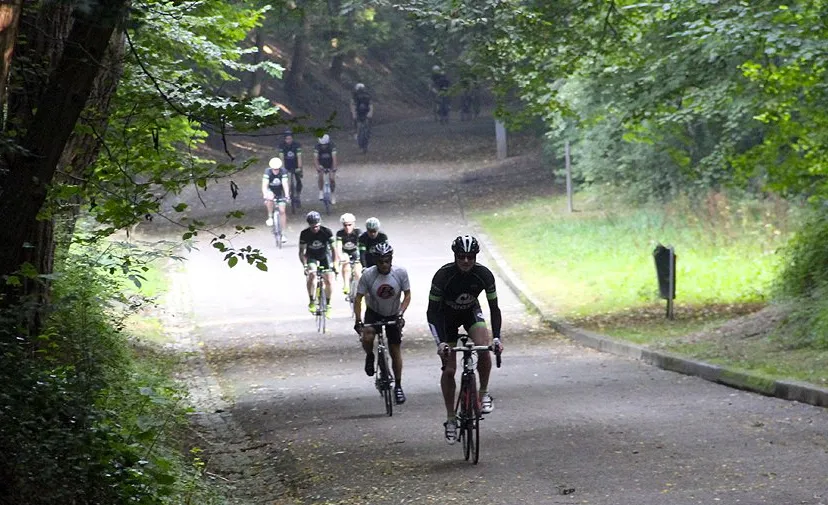 rit naar de gladiolen kollenberg