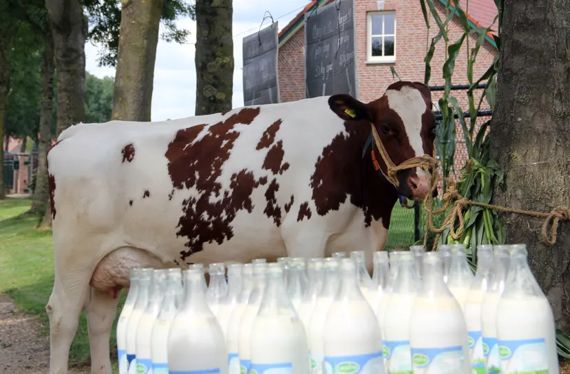 rmeduqdovsuuurritylxb7edm img7627