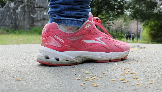 road 749528 1920 running shoe cc0 pixabay