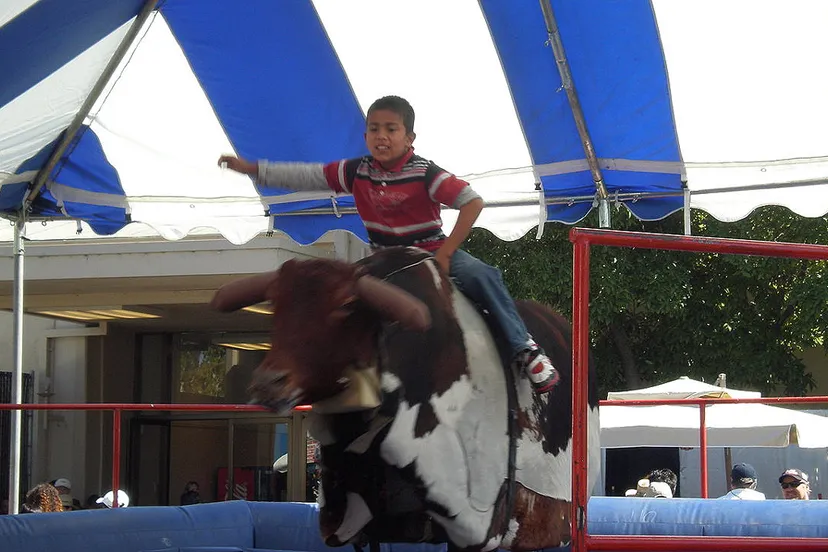rodeo stier brokensphere wikimedia commons
