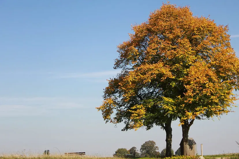 rustig herfstweer herfst kollenberg