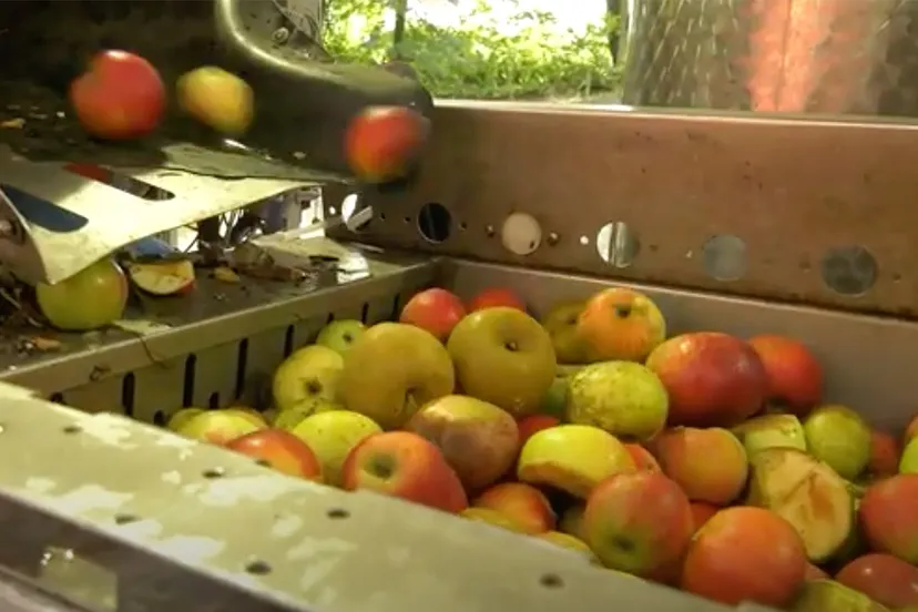sapdag bij lahrhof in sittard