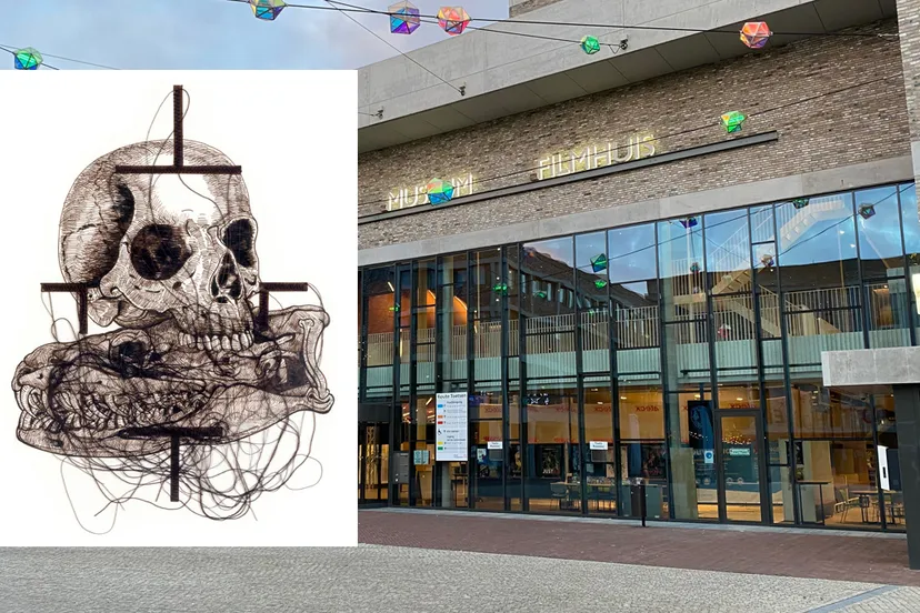 sassoon museum ligne