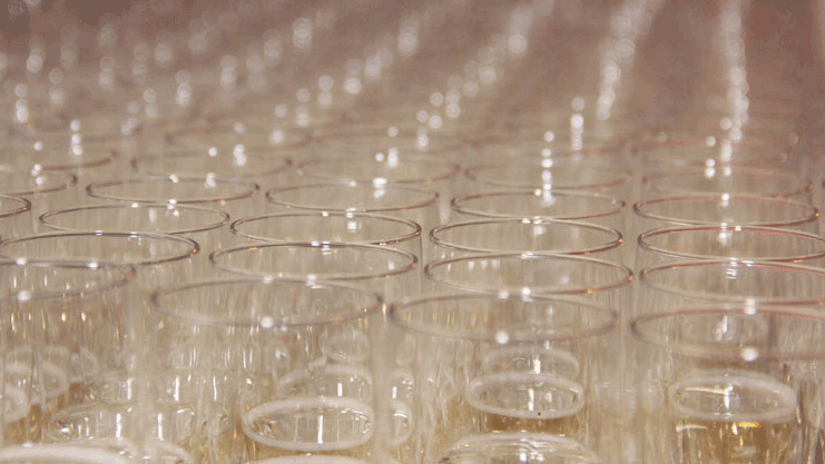 saumkvnyjqv0srgu9s9gq0dqz glazen champenoise 16 9