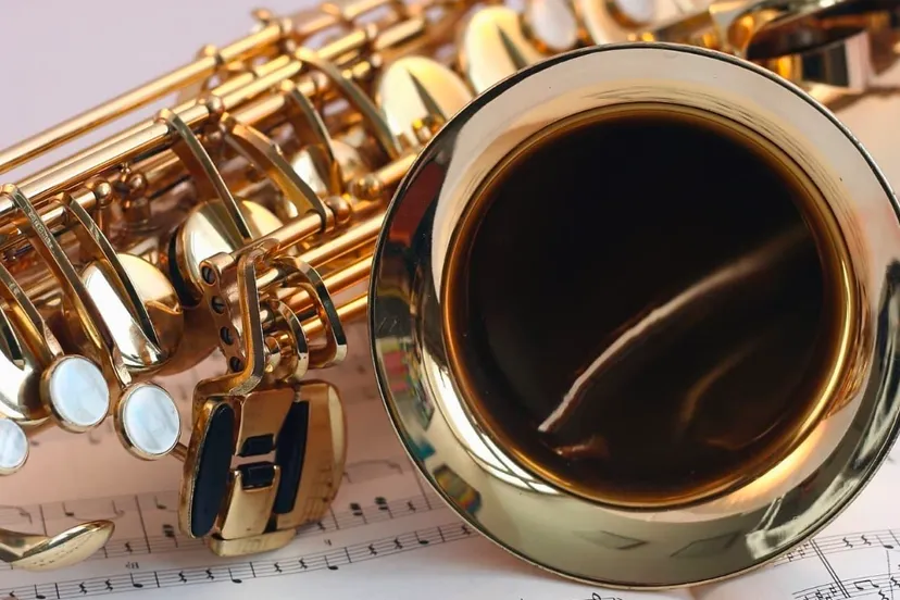 saxofoon cc0 via pixnio