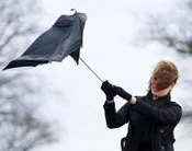 sb1zssfqef42r1y0ia5i3n4th 177564