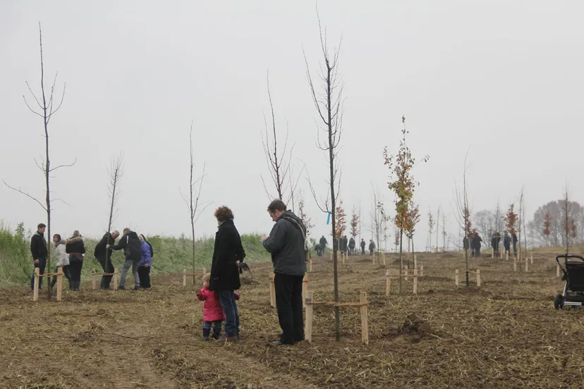 sbk kollenberg memoriebos boomplanten