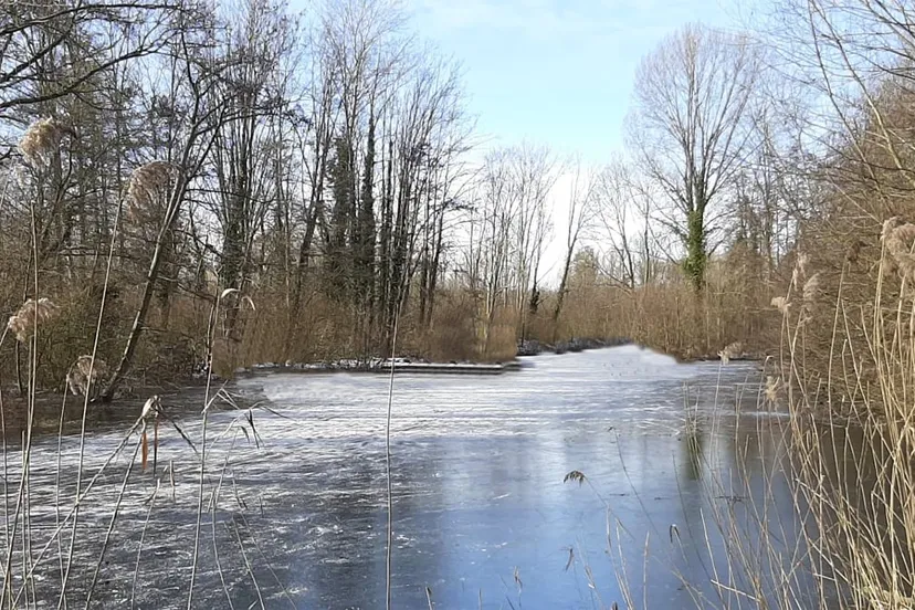schaatsen schwienswei februari 2021 foto francois mostard 2