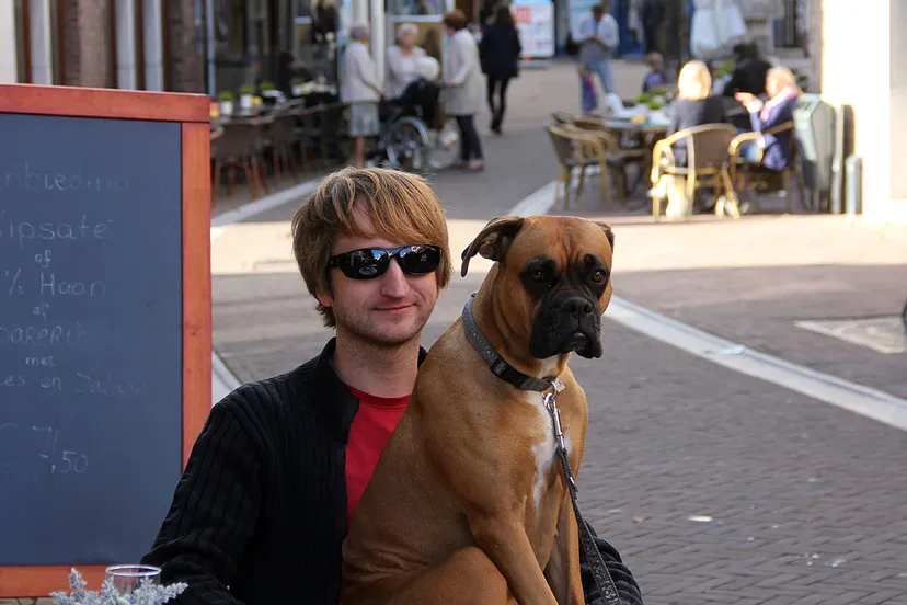 schoothond boxer op schoot