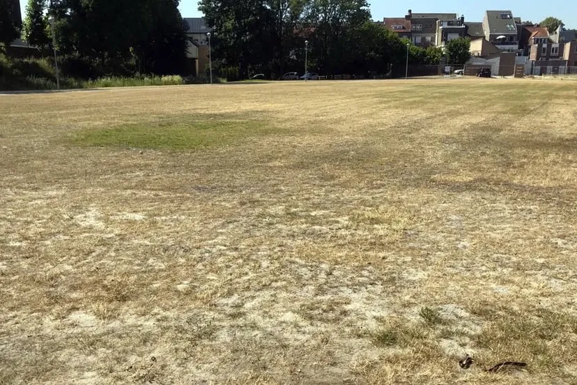 schootsvelden droog zonnig 2018