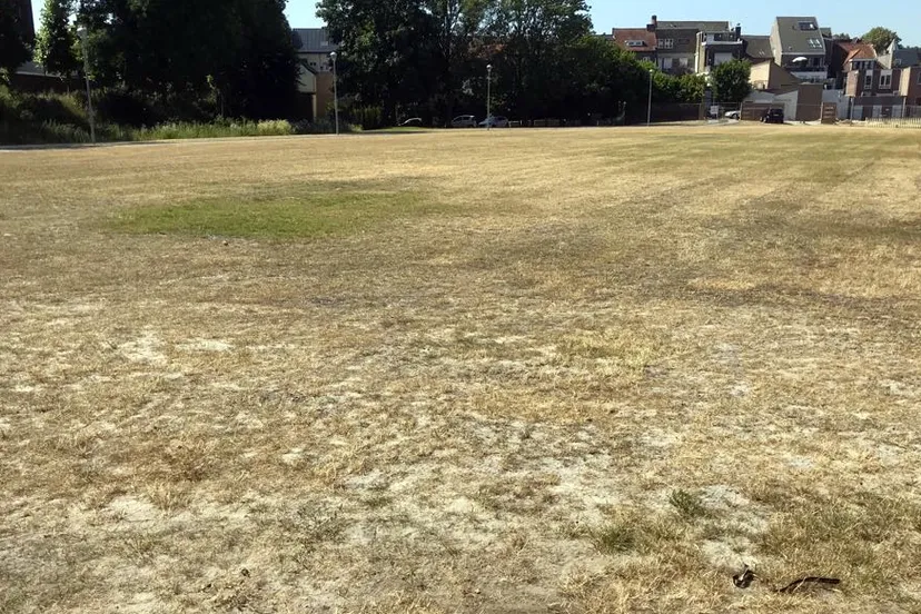 schootsvelden droog zonnig 2018