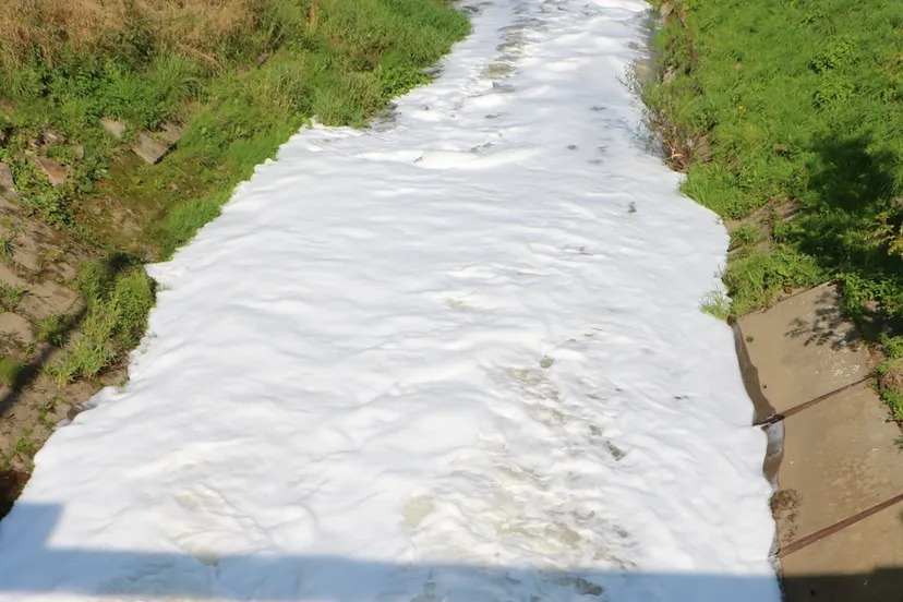 schuim beneden de stuw in de cotelbeek