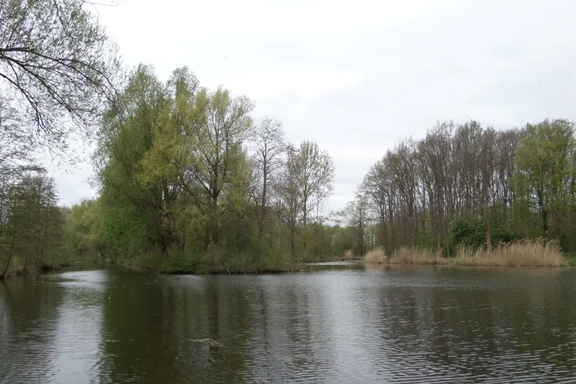 schwienswei hateboer