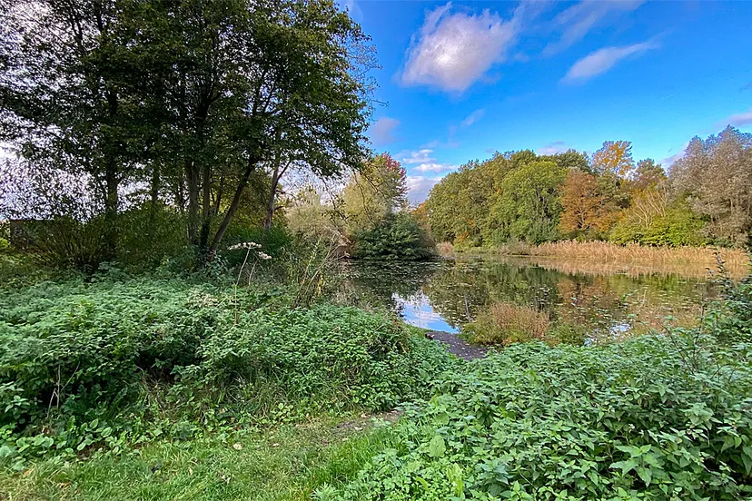 schwienswei herfst 2023