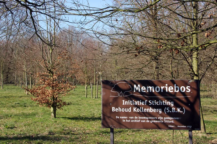 sfm2cwmks9nfi5ndhl2s54d30 memoriebos 16 9