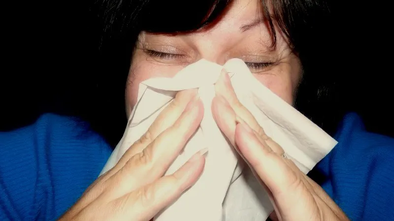 shjbgztolq626e6l4lu3b70aa sneezeinwhitehankie