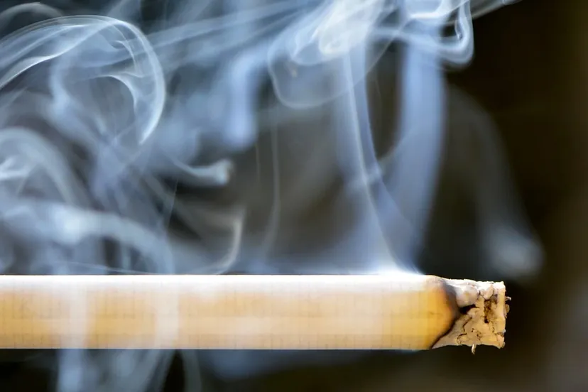 sigaret rook pixabay
