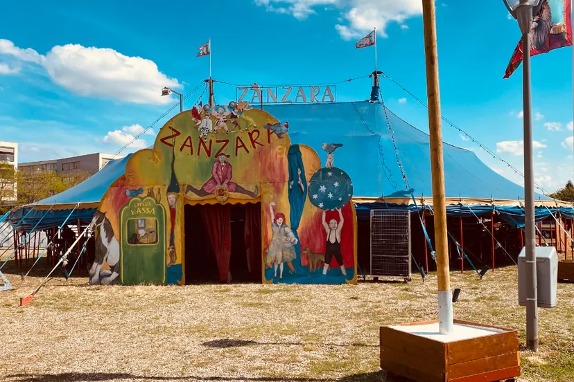 sint rosa festival 2022 circus zanzaira