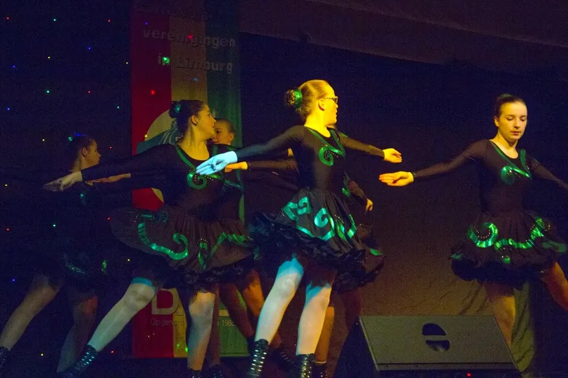 sjtel dich ens veur 2015 linne