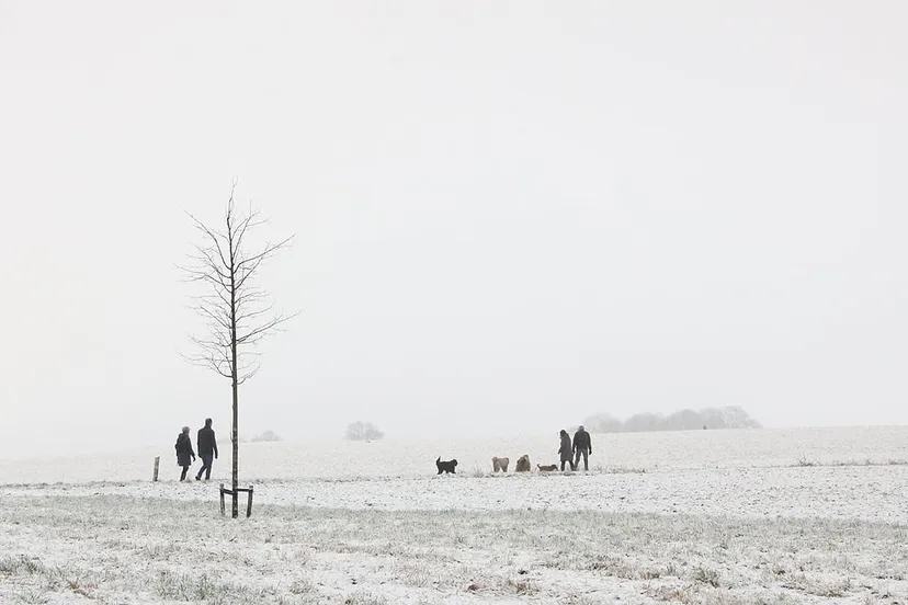 sneeuw op de kollenberg 2017
