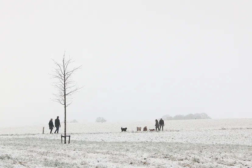 sneeuw op de kollenberg 2017