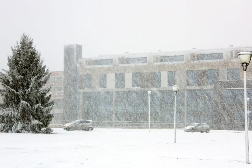 sneeuwbui ligne 2017