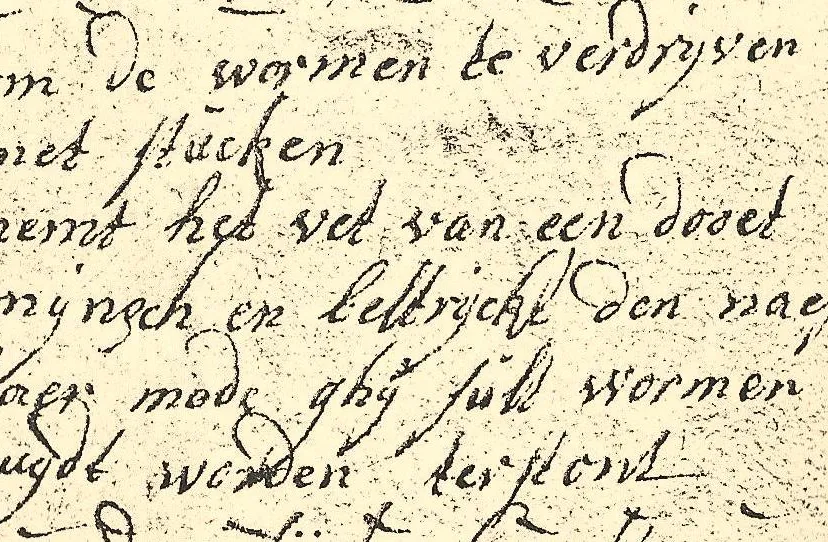 soleur website recepten wormen