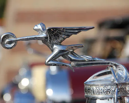 sp96q0xnugyju61cfopfbllr7 163830