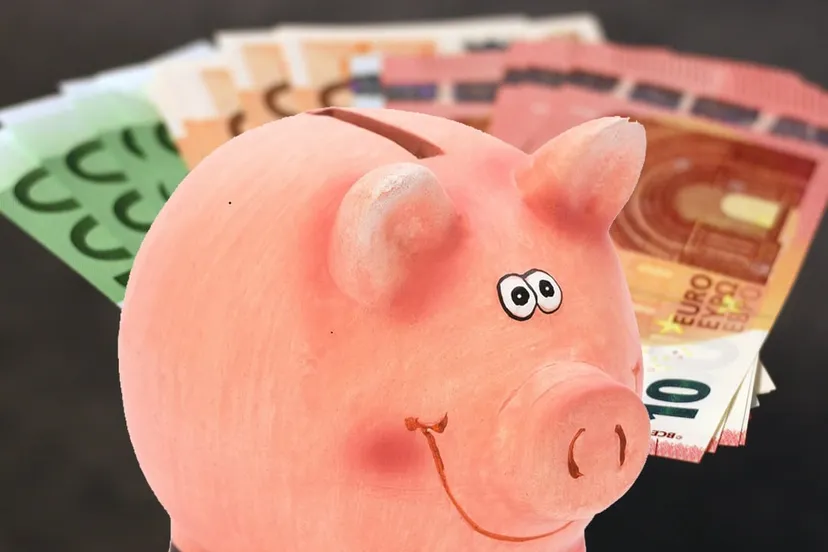 spaarvarken met waaier van eurobiljetten cc0 pixabay zwartsparen