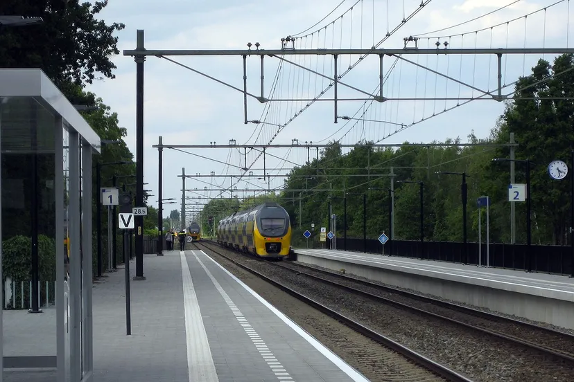 spoorlopers bij susteren