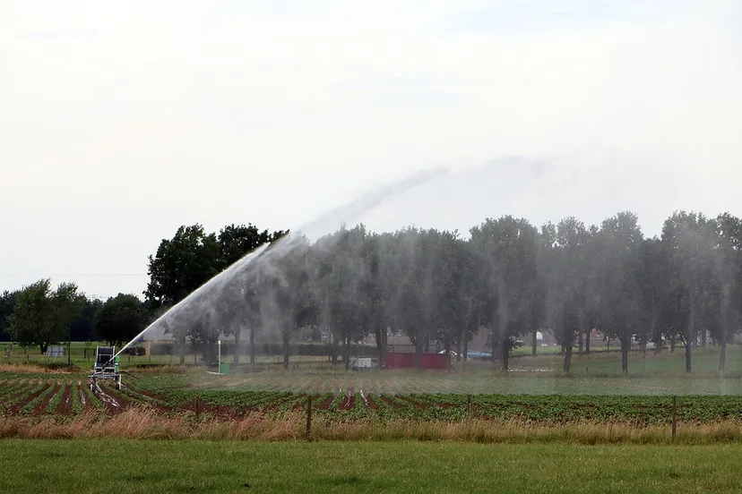 sproeien beregenen droogte akker