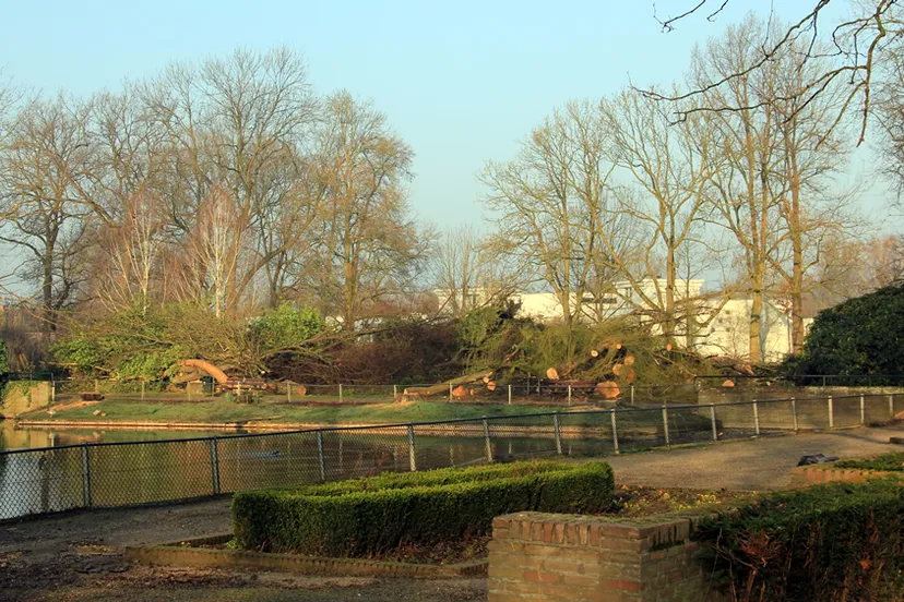 srtne8d05tuobg4w22h129c4y stadspark eendenvijver