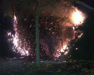 ssor1kotvdppymk5hyufvzlkr 185108