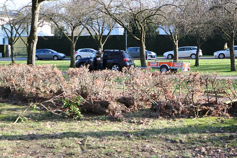 stadspark gered groen 1