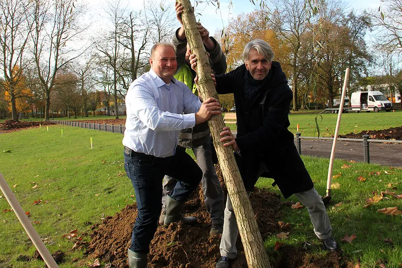 stadspark sittard boom geplant fase 1 leon geilen