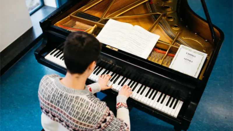 steinway vleugel 2 foto guy houben