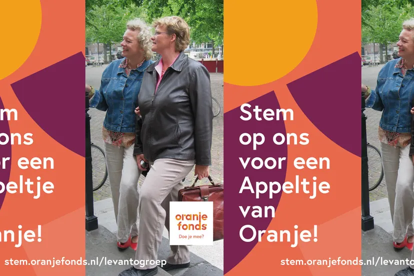 stemmen afbeelding levantogroepvrijwilligers