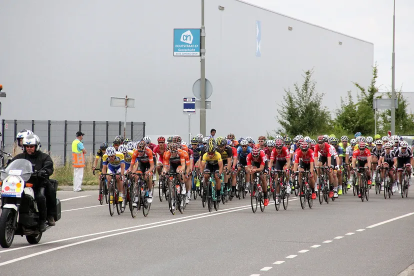 ster zlm 2017 in born