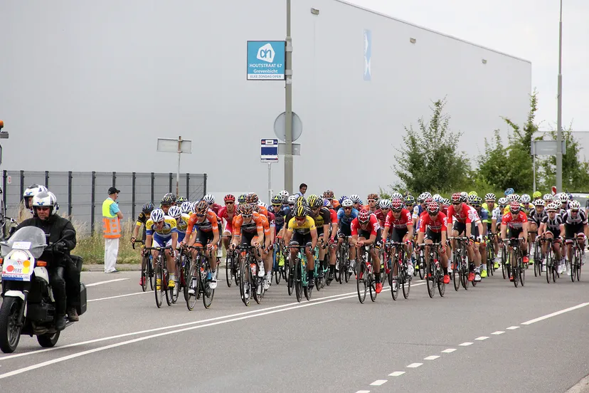 ster zlm 2017 in born