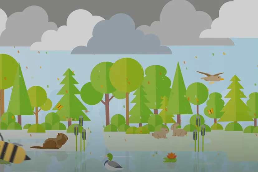 stikstofreductie limburg