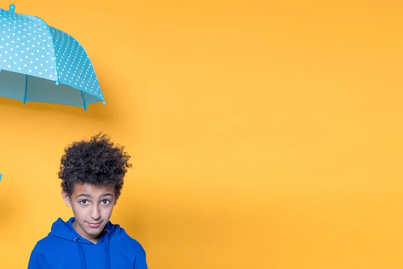 stip 23 24 ll help helikopterouders beeld tetsuro miyazaki