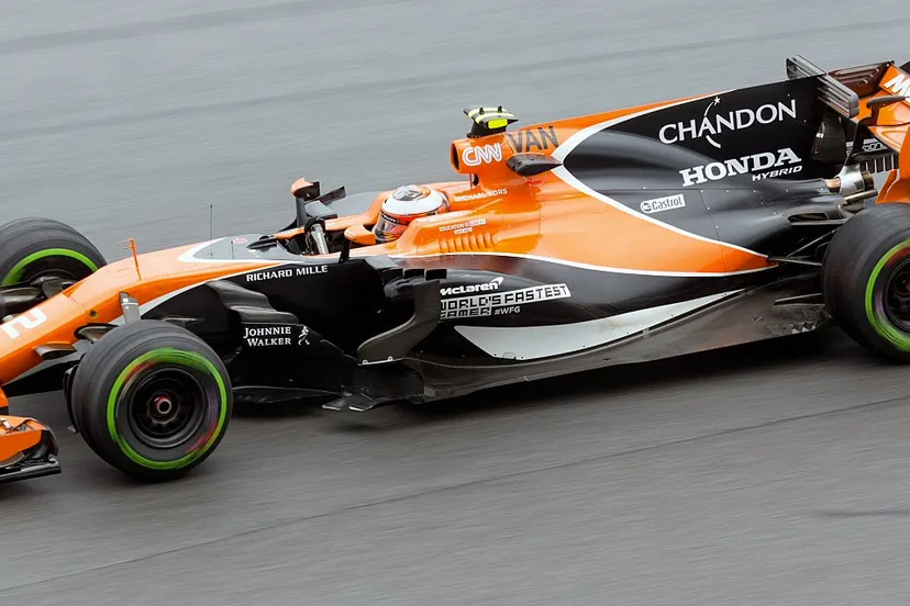 stoffel vandoorne morio cc by sa 40 via wikimedia commons