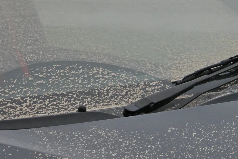 stoffige auto amanda slater cc by sa 20 via flickr 7527359302 55e0c3bdde k