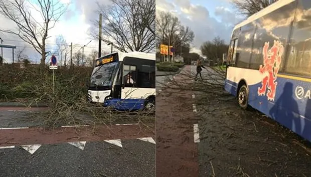 storm boom omgewaaid voor bus parallelweg sittard 18 januari 2018 patricia hermens