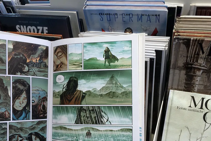 stripboeken bibliotheek de domijnen