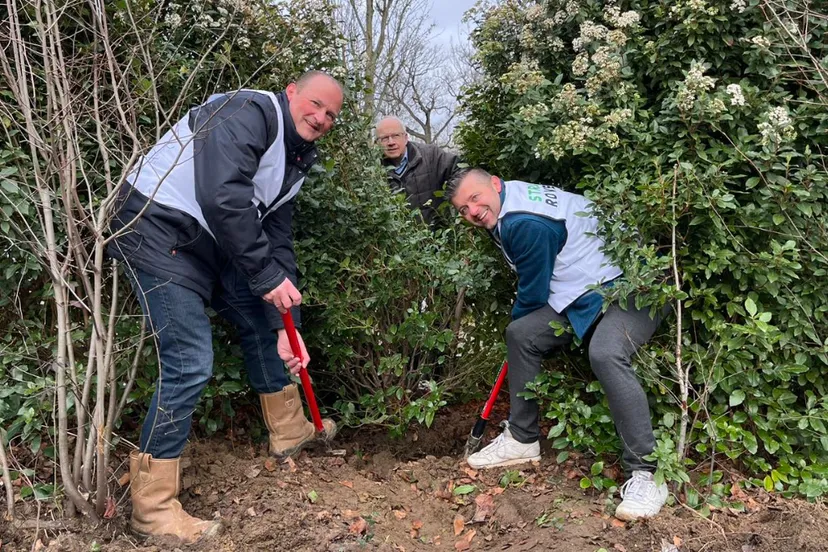 struiken roven in geleen